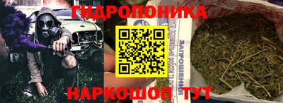 дмт Владивосток