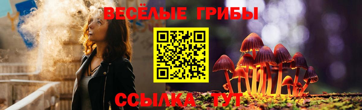 продажа наркотиков  Вход с VPN  Воронеж  Галлюциногенные грибы Cubensis 